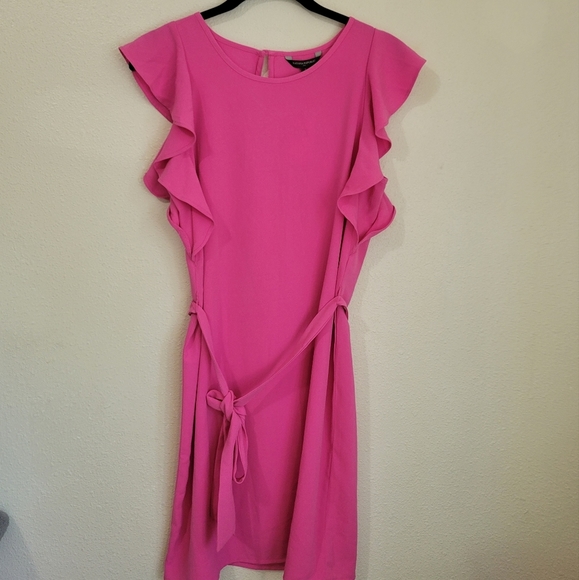 NWT Banana Republic Pink Flutter Sleeve Dress Size Small - Picture 3 of 9
